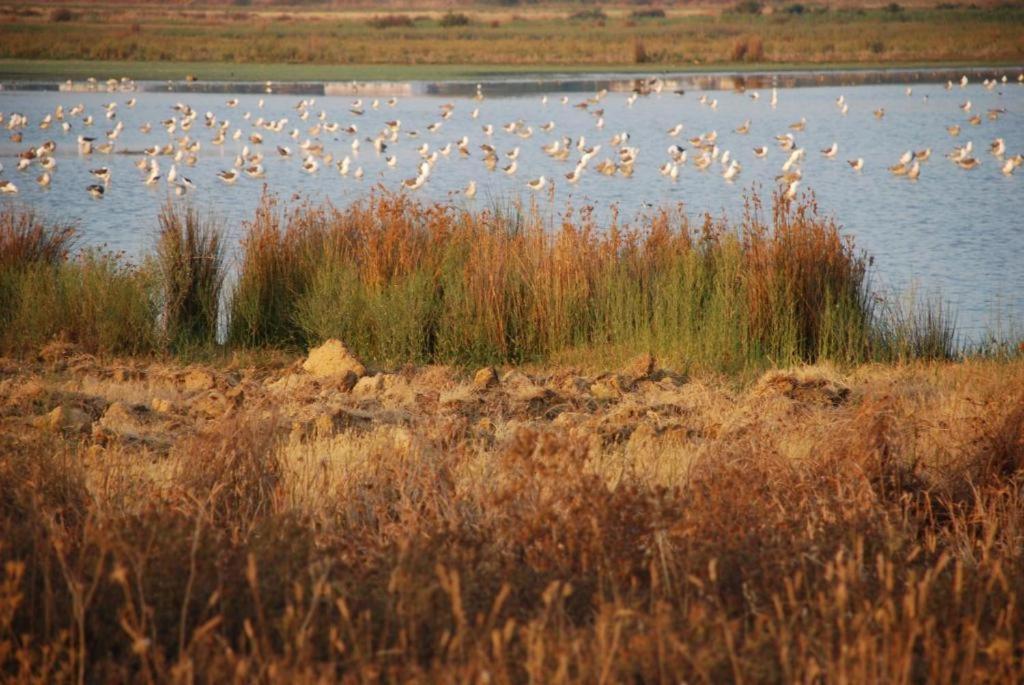Salgados - Vila Das Lagoas Ґія Екстер'єр фото